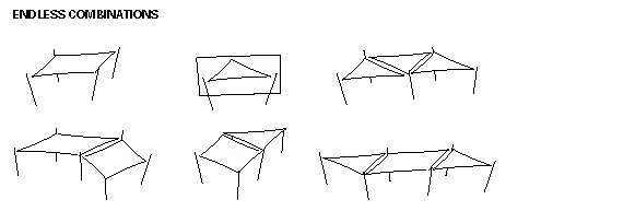 ingenua