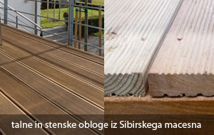 Sibirski macesen